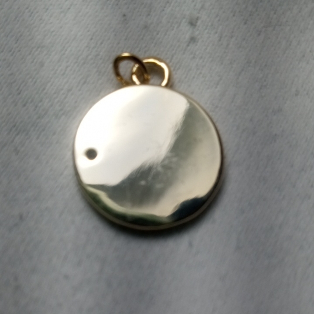 Gold Coin Pendant with Leo The Lion Design - Picture 2 of 4
